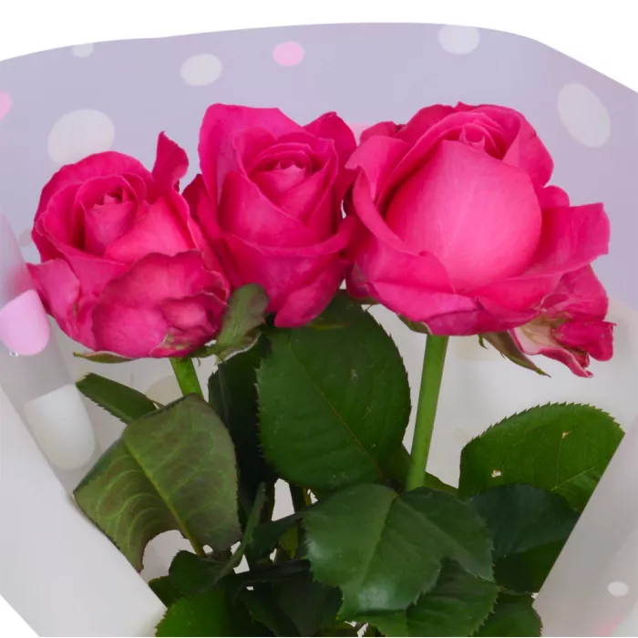 Букет из 3 малиновых роз 40 см