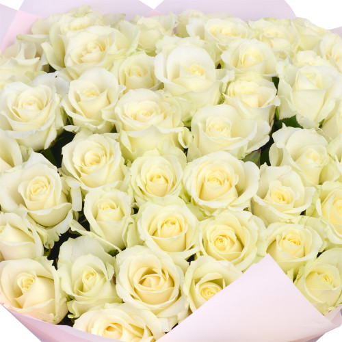 Букет на День матери из 51 белой розы 50 см