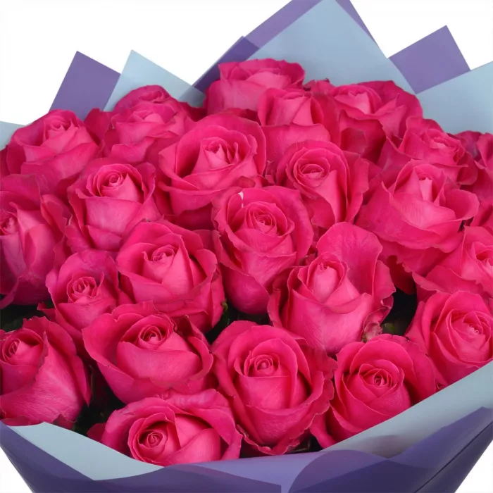 25 малиновых роз 60 см