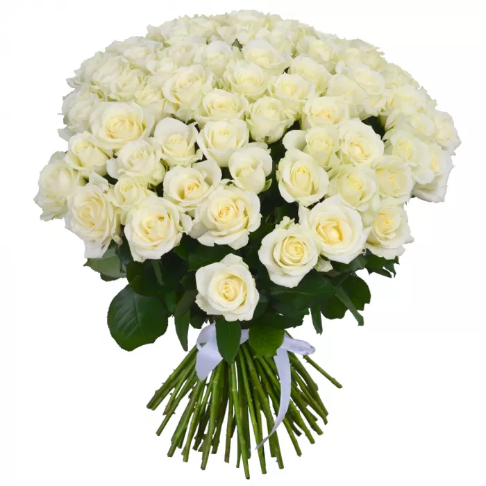 75 белых роз Premium 50 см 75 белых роз Premium 50 см