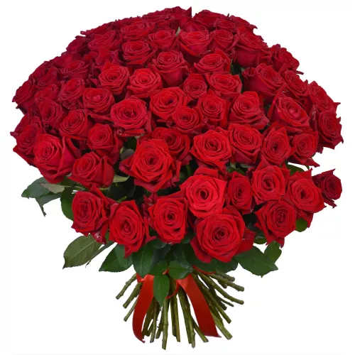 75 красных роз Premium 50 см
