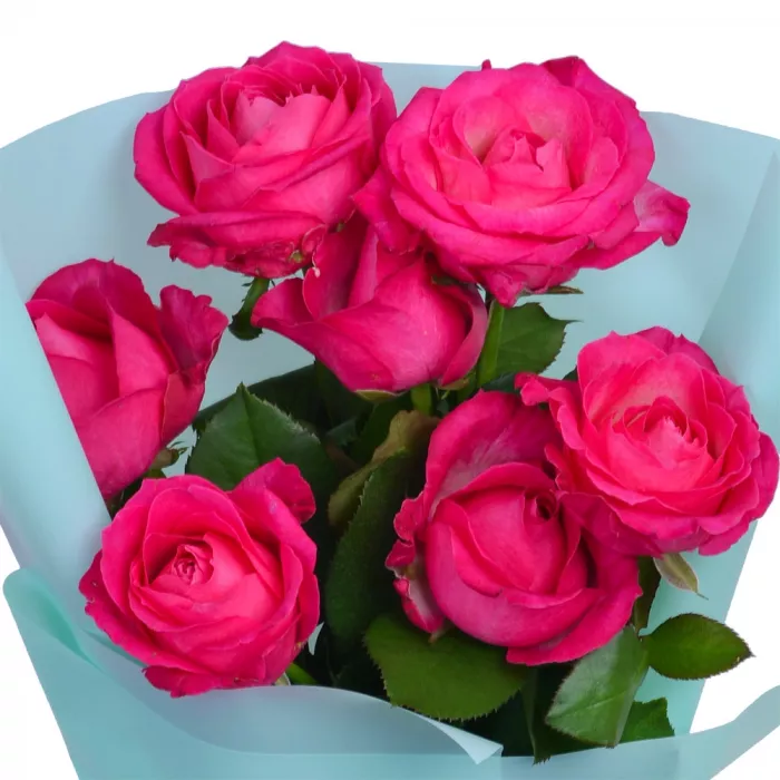 Букет из 7 малиновых роз 50 см