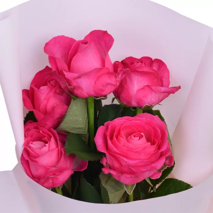 Букет из 5 малиновых роз premium 50 см