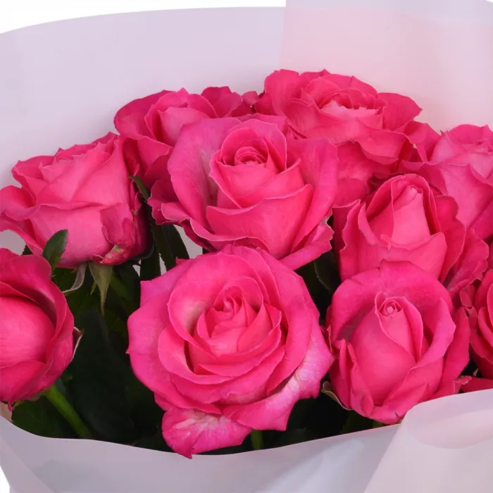 11 малиновых роз 50 см