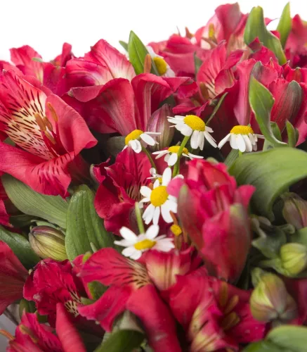 Букет цветов из 15 альстромерии и танацетумаз