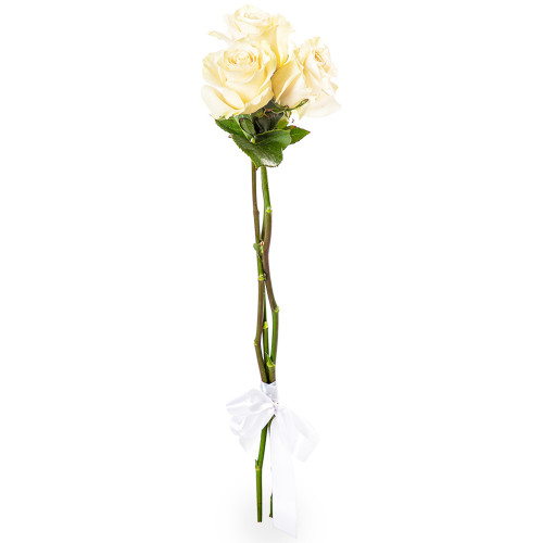 3 белые розы Эквадор 70 см