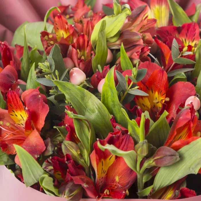 9 красных альстромерий и эвкалипта