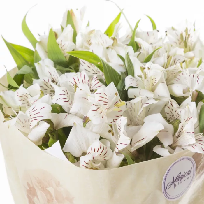 Букет из 9 белых альстромерий