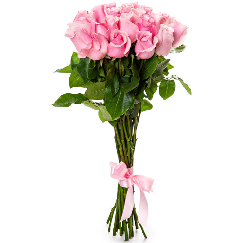 19 розовых роз Эквадор 70 см