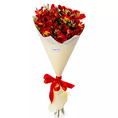 Букет из 5 красных альстромерий