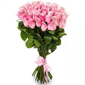 Букет из 35 розовых роз Эквадор 70 см