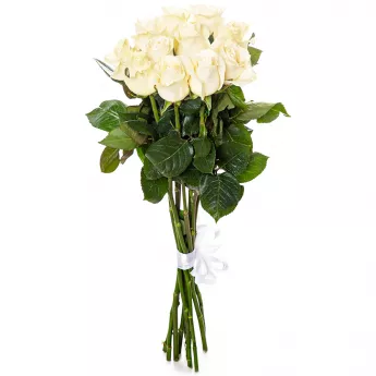 Букет из 11 белых роз Эквадор 70 см