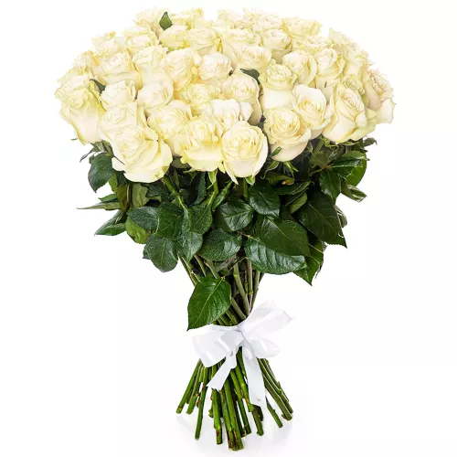 Букет из 51 белой розы Эквадор 70 см