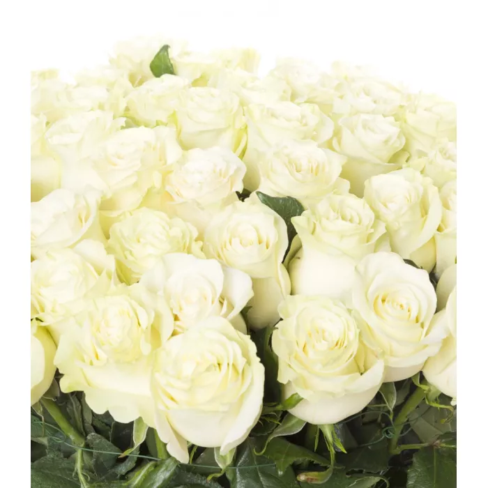 Букет из 51 белой розы Эквадор 70 см