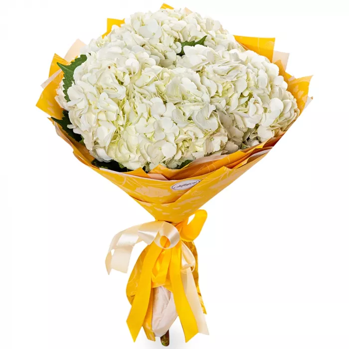 Букет из 5 белых гортензий