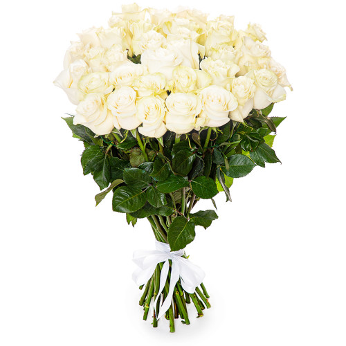 Букет из 35 белых роз Эквадор 70 см