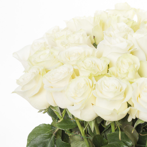 Букет из 35 белых длинных роз Эквадор 70 см