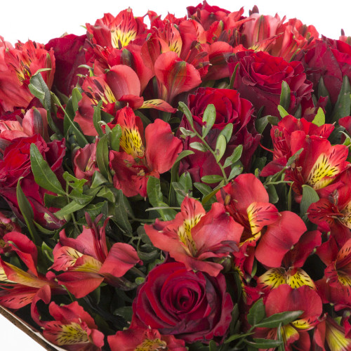 Букет цветов из красных роз и альстромерии