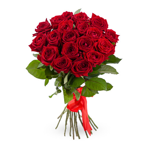 19 красных роз 60 см