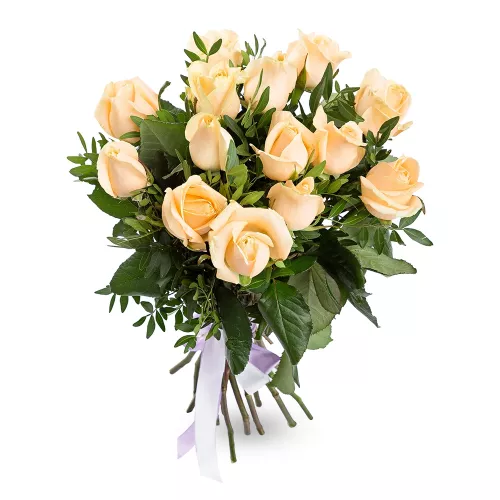 15 кремовых роз 60 см