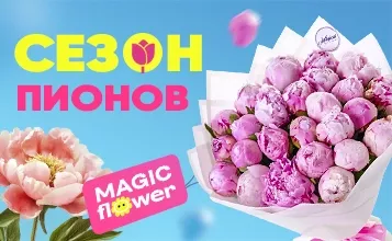 14-tsvet,rozovyy