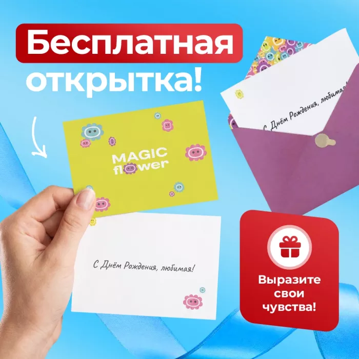 Букет из 51 красной розы с набором из клубники в шоколаде в подарок