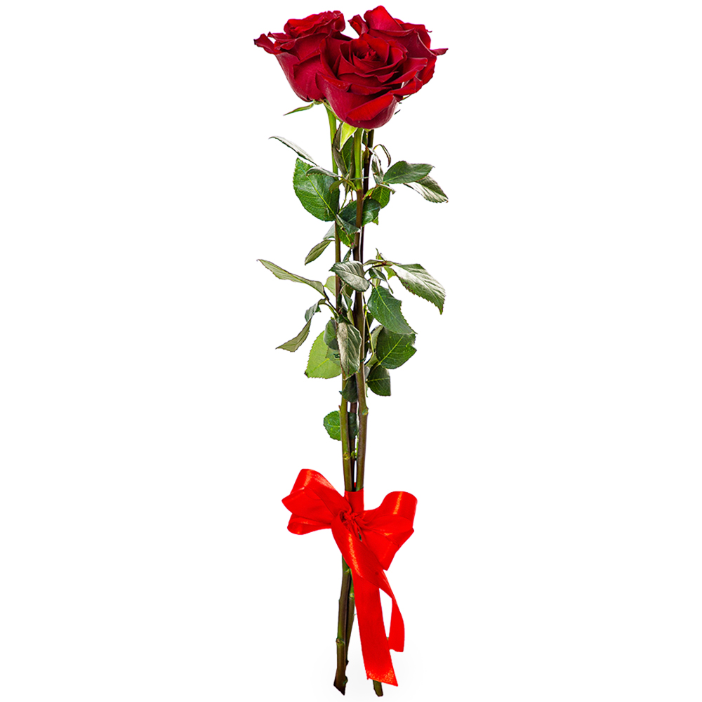 Букет из 3 красных роз Эквадор 70 см - купить в Москве по цене 1890 р -  Magic Flower